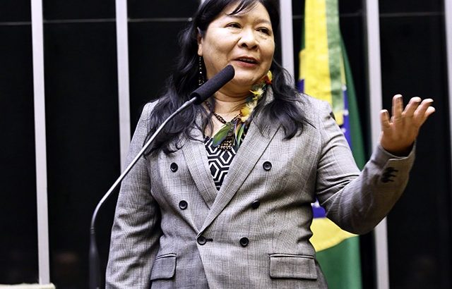 Joênia Wapichana (Rede) was elected Federal Lawmaker for the State of Roraima (Promotion)