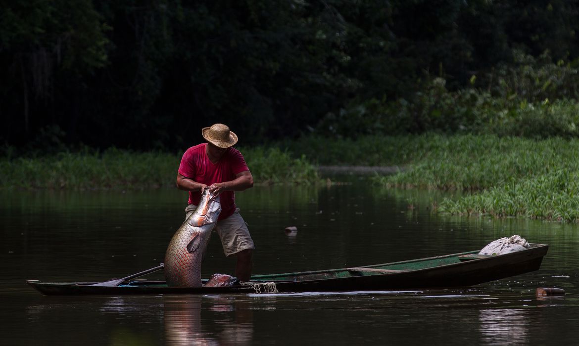 Exposição na COP 26 volta olhar sobre povos que habitam a Amazônia
