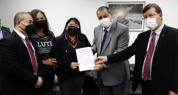 Representantes de indígenas e parlamentares entregam dossiê sobre pandemia à CPI da Covid