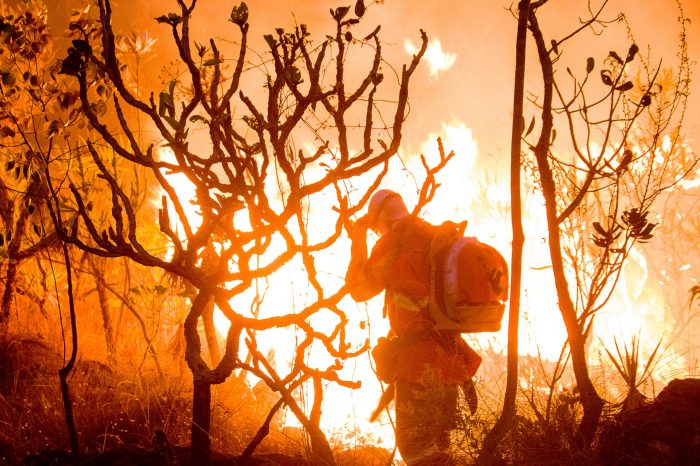 Brigadistas enfrentam altas temperaturas para combater queimadas no Cerrado