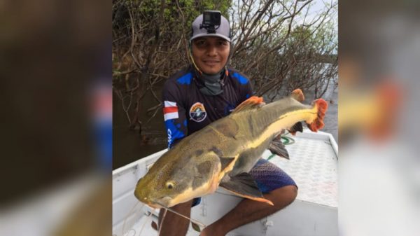 No AM, polícia mantém buscas por pescador desaparecido após ataque de ‘piratas’