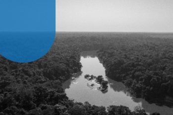 O Fortaleza Ituxi, em Lábrea, na Floresta Amazônica, é um dos projetos que geram créditos de carbono (Divulgação)
