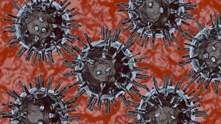 Ilustração do vírus Sars-CoV-2 (Pixabay)