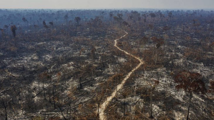 Os dados divulgados pelo INPE mostram que desde 2006, não havia tanta perda de vegetação amazônica em território brasileiro. (Foto: Lalo de Almeida/Folhapress)