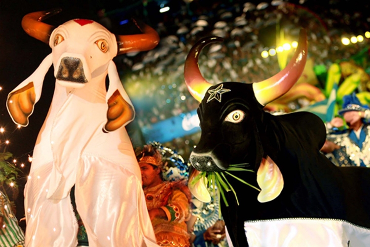 Vacinação colabora para consolidação do turismo cultural, avaliam especialistas