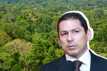 O vice-presidente da Câmara dos Deputados, Marcelo Ramos (PL-AM), falou sobre a importância de monetizar a Floresta Amazônica enquanto ela está de pé. (Arte: Catarine Hak)