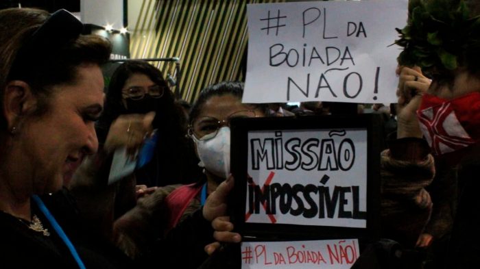 ‘PL da Boiada’ é inconstitucional e pode trazer impactos severos ao meio ambiente, criticam especialistas