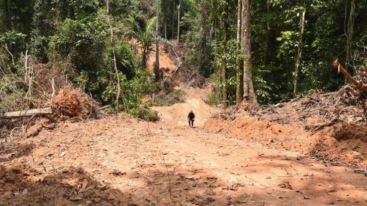 Funcionário do Estado do Pará inspeciona área desmatada no município de Pacajá, a 620 quilômetros de Belém (EVARISTO SA / AFP/22-9-21)