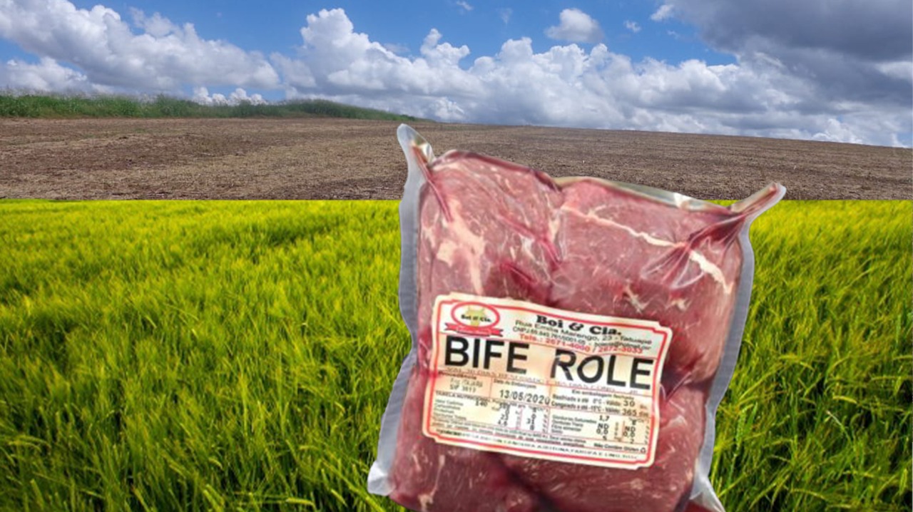 Carrefour e outros supermercados boicotam carne do Brasil com origem em pasto de área desmatada