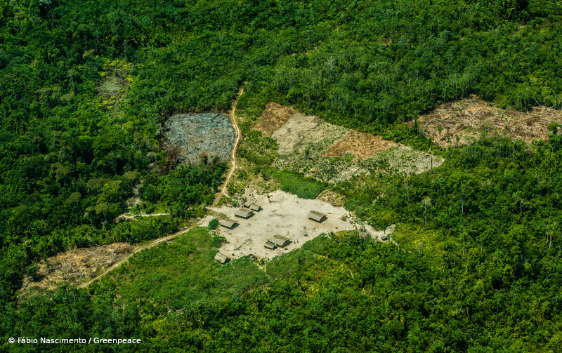‘Floresta Protegida’: PF apura invasão, desmatamento e comercialização de lotes de UC em Rondônia