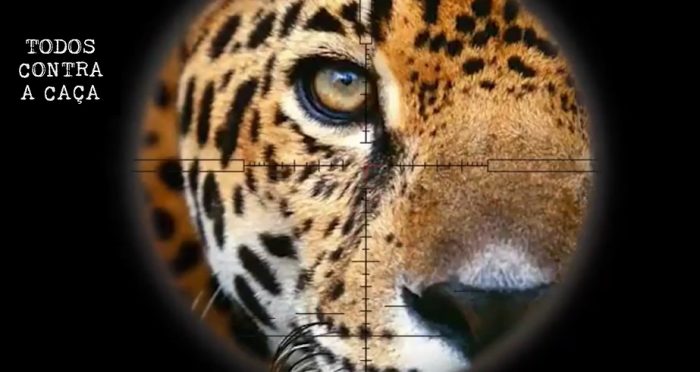 ‘Maldoso e insano’, dizem defensores da causa animal sobre PL que libera caça por ‘diversão’
