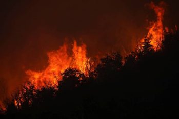 Incêndio toma floresta a 60 quilômetros de Bariloche, em meio à onda de calor na Argentina (Francisco Ramos Mejia - 13.jan.22/AFP)