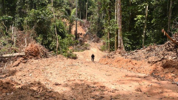 Área devastada em Pacajá, no Sudoeste do Pará; foram mais de 53,3 mil hectares desmatados em todo o estado no ano passado (EVARISTO SA / AFP)