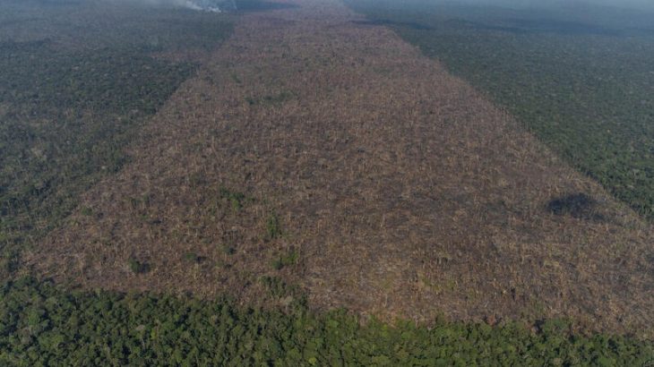Registro aéreo mostra área desmatada na Amazônia. (Divulgação)