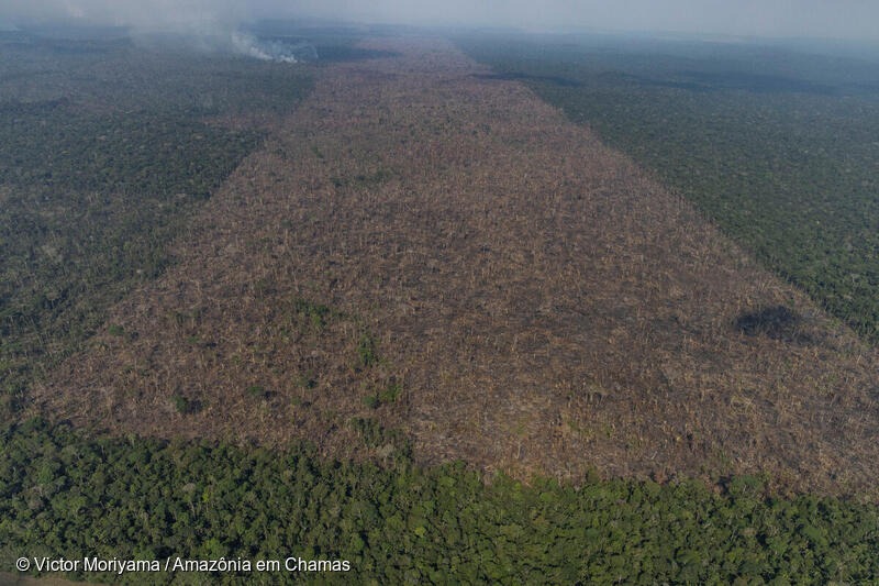 Registro aéreo mostra área desmatada na Amazônia. (Divulgação)