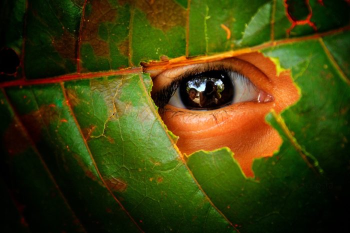 Exposição ‘Fotogenes: Cores e Sabores da Amazônia’ celebra Dia Nacional do Fotógrafo em Manaus
