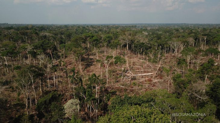 A Reserva Extrativista Chico Mendes, no Acre, lidera o ranking da perda florestal na Amazônia Legal. (Divulgação)