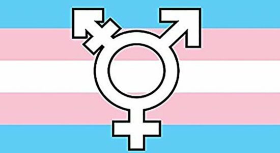 ‘Não ver trans como doentes é avanço’, diz ativista, após OMS proibir países de classificar transexualidade como doença