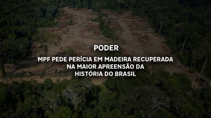 MPF pede perícia em madeira recuperada na maior apreensão da história do Brasil