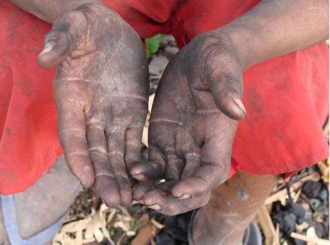 PF fez 47 operações especiais e abriu 306 inquéritos contra o trabalho escravo em 2021