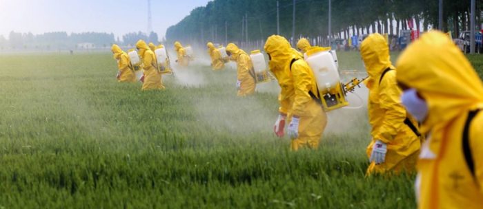 Vestígios de agrotóxicos em alimentos preocupam por riscos à saúde do consumidor (Divulgação)