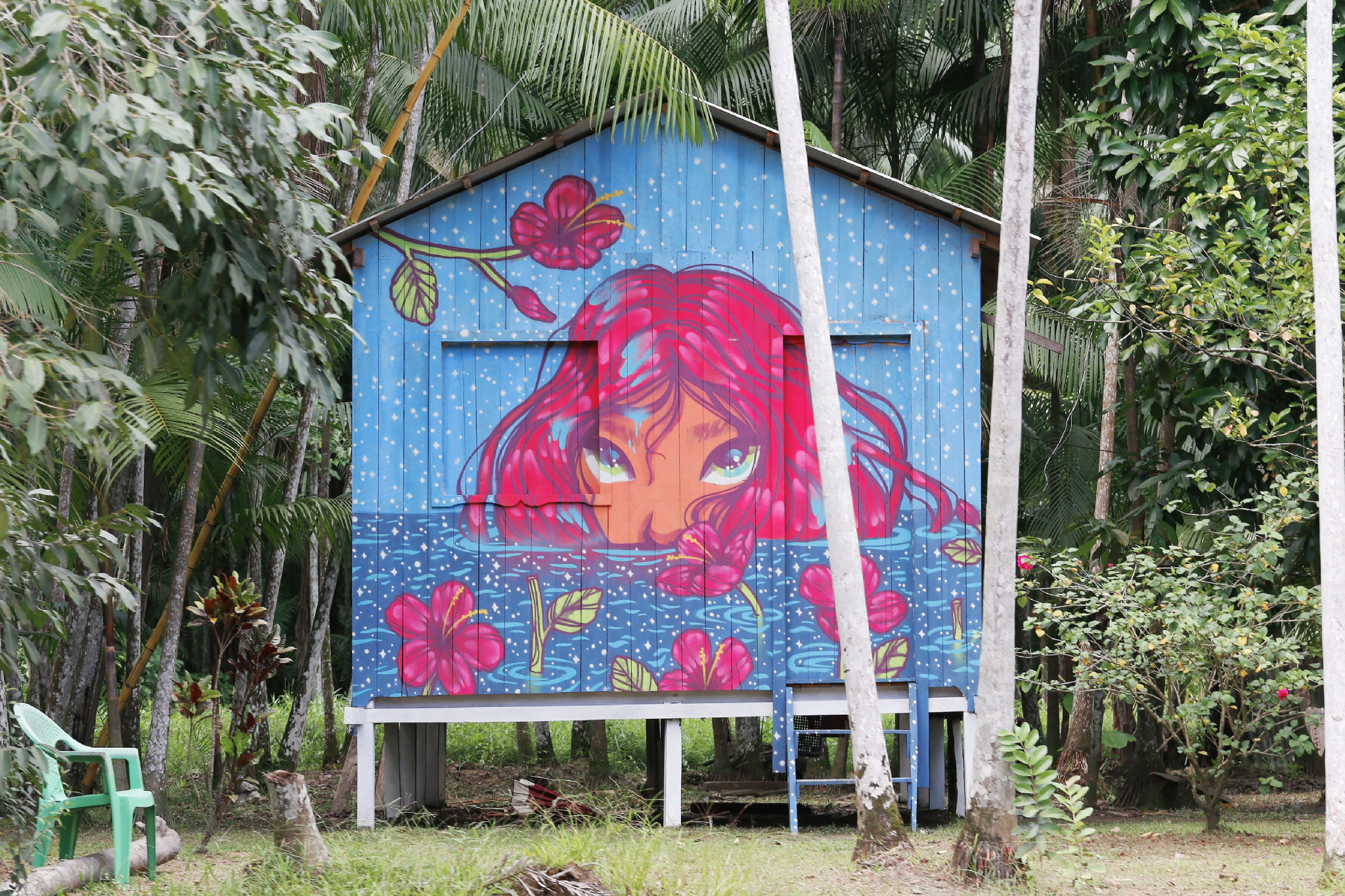 Casas ribeirinhas ganham cores, água potável e energia solar em projeto de  arte urbana na Amazônia - Revista Cenarium