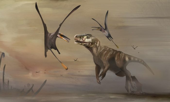 Dinossauro voador foi encontrado na Ilha de Skye por cientistas da Universidade de Edimburgo (ARTE: Natalia Jagielska)