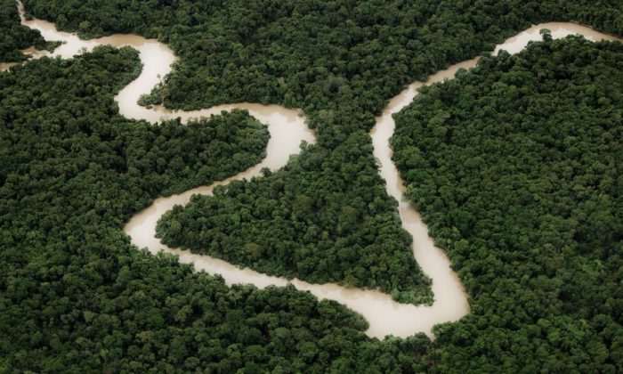 Acordo de cooperação promete desenvolver Amazônia com conservação florestal e crédito de carbono