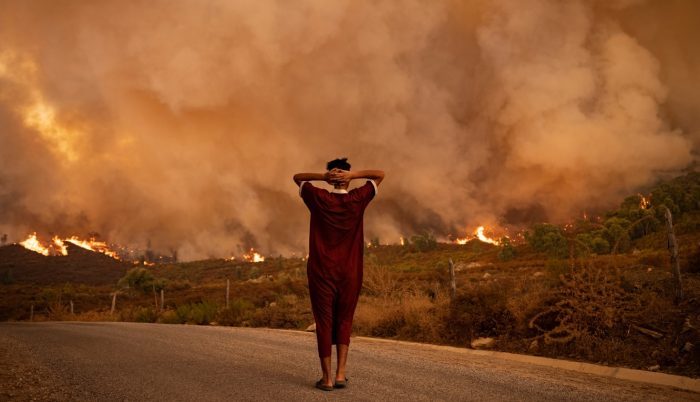 Desaparecimento de animais e plantas já acontece em todo o mundo por fatores climáticos como ondas de calor e secas prolongadas
(FADEL SENNA/AFP/METSUL METEOROLOGIA)