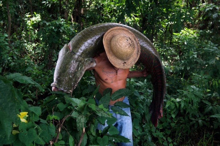 Nos últimos anos, milhares de pessoas passaram a preservar os peixes e a depender dele em grande parte da região (Foto: Ricardo Oliveira)