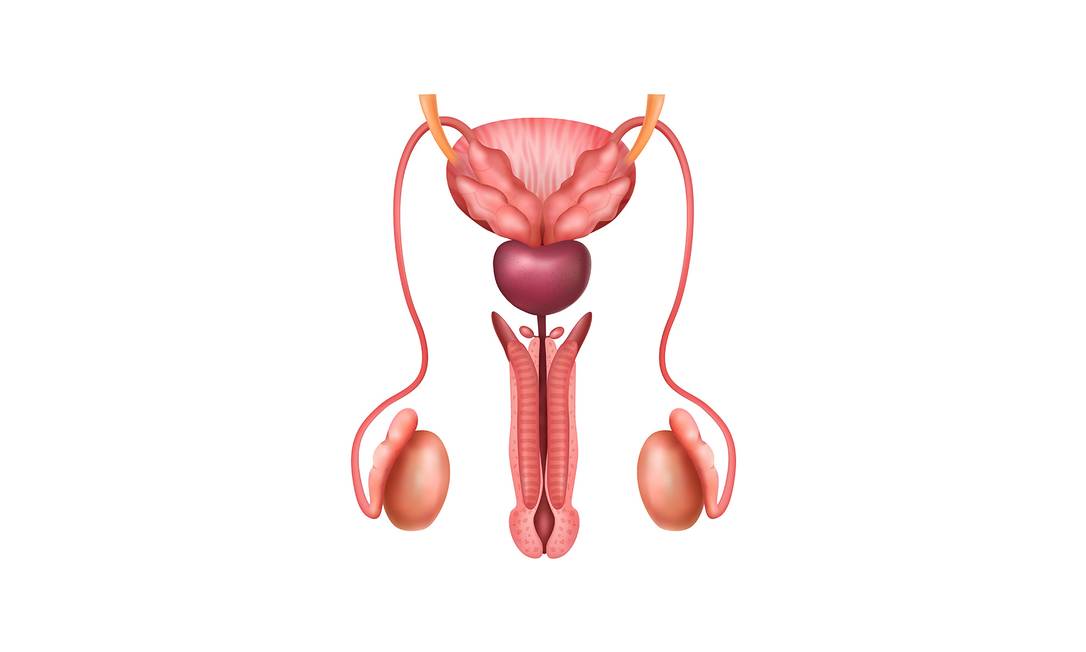 Harmonização escrotal: uso de botox na região do escroto ganha adeptos; entenda os riscos