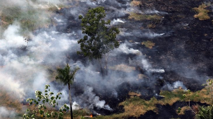 ‘Amazônia sofre as consequências das mudanças climáticas’, diz coautor do relatório do IPCC da ONU