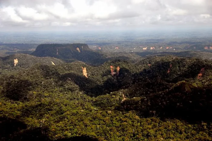 Biodiversidade do Parque Nacional da Serra do Divisor, no Acre, é ameaçada por projeto de rodovia que liga Brasil ao Peru