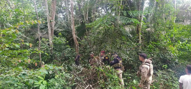 Corpos são encontrados na Terra Indígena de Parakanã, no Pará; Polícia Federal investiga o caso