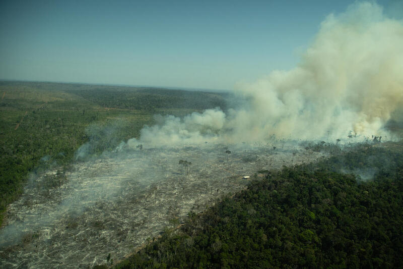 Inpe registra aumento de incêndios na Amazônia em julho