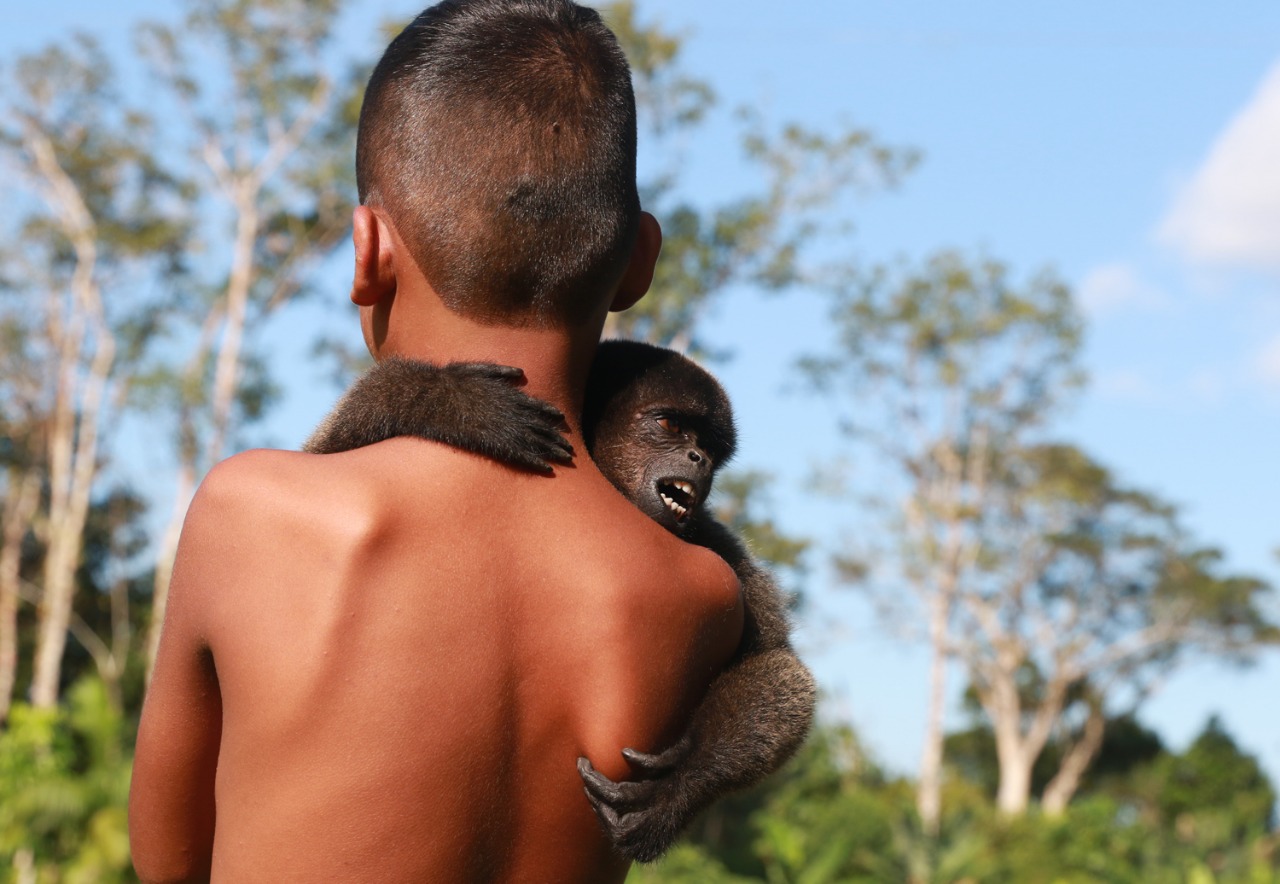 Dia dos Povos Indígenas: populações originárias são responsáveis por retardar a destruição da Floresta Amazônica