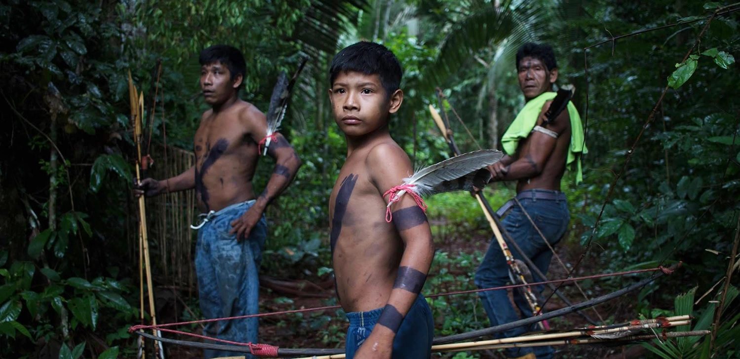 Indigenous Lands most threatened by deforestation in the Amazon are in Pará and Rondônia, reveals Imazon