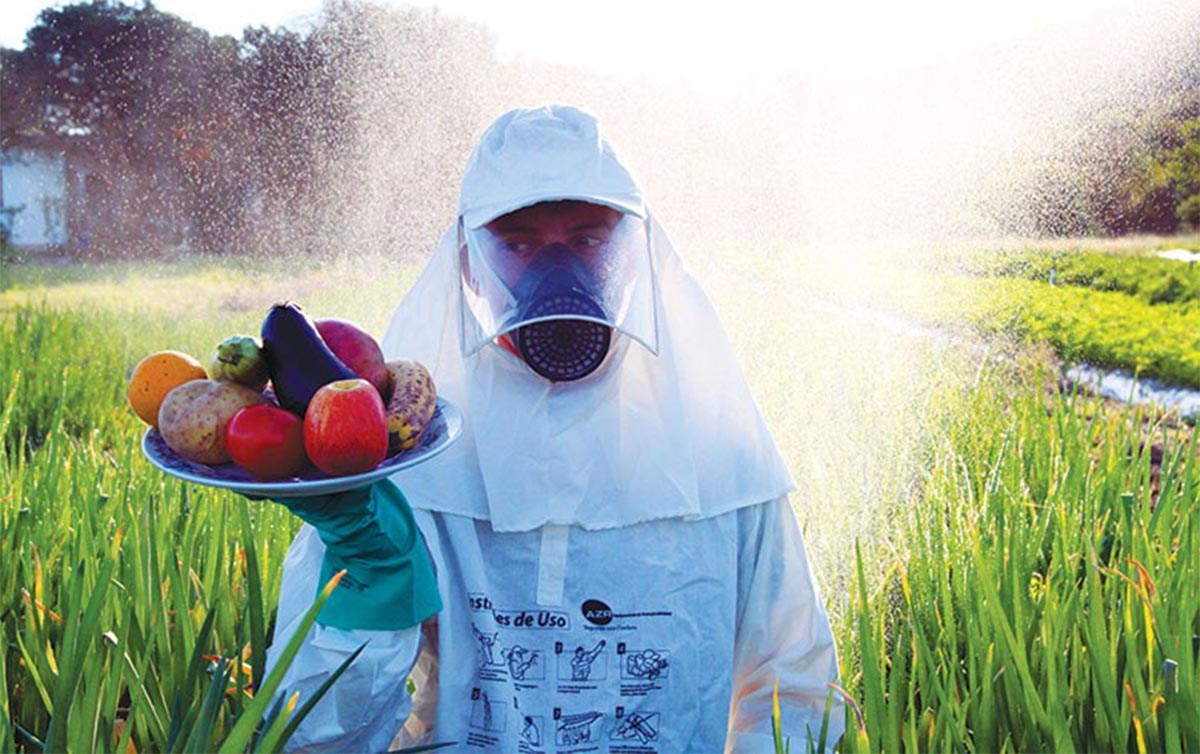 Especialistas e quilombolas destacam que incentivo à agricultura familiar e à agroecologia deveria ser prioridade no país(Eduardo Tavares/Revista do Brasil 109)