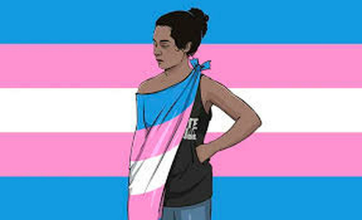 Petição quer anular aplicabilidade de Lei Maria da Penha a mulheres transexuais