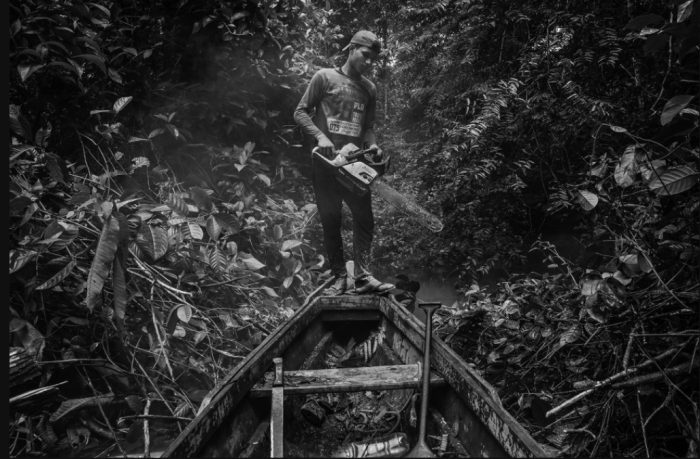 Fotógrafo brasileiro vence ‘Oscar da fotografia’ com série sobre devastação da Amazônia