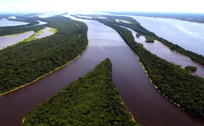 Prestes a ser privatizado, Parque Nacional de Anavilhanas no AM foi a 35ª Unidade de Conservação mais visitada em 2021