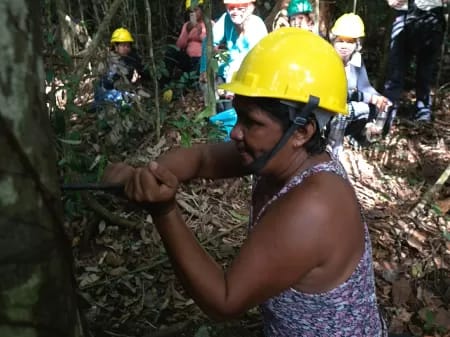 Arlete Leal extrai óleos de espécies nativas da Amazônia para produzir cosméticos
(Reprodução/Leo Otero/Iepé)