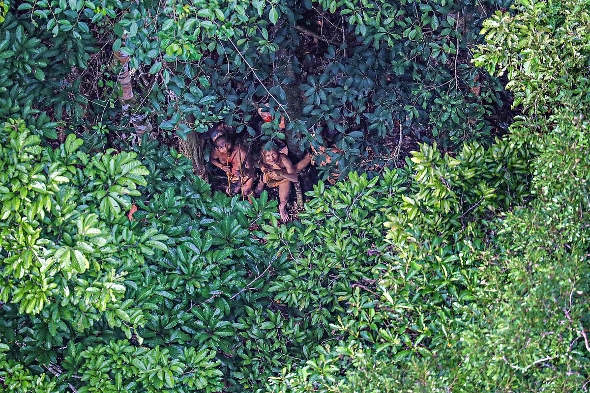 Área com quatro povos indígenas isolados está com proteção vencida