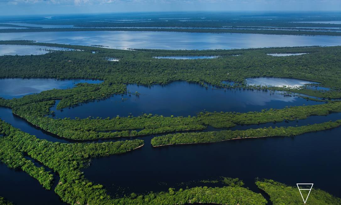 Sociedade precisa adotar nova postura ‘não colonialista’ sobre a Amazônia para salvar a floresta