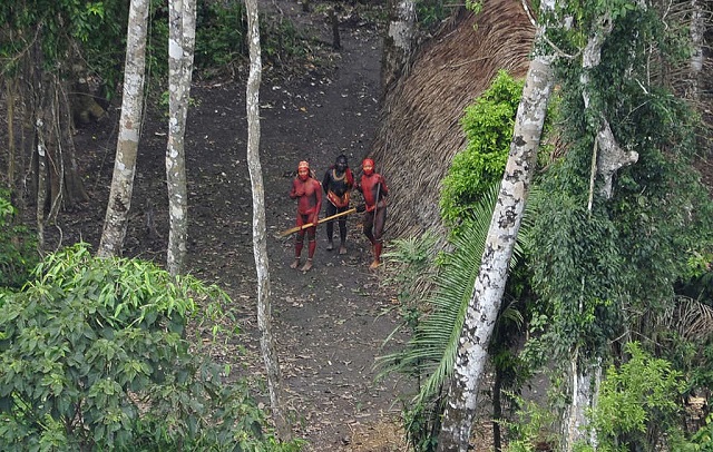 Funai prorroga portaria que restringe acesso de pessoas na Terra Pirititi em Roraima