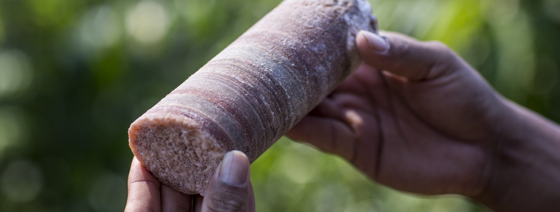 Ipaam diz que decisão judicial não garante liberação imediata de exploração de potássio no AM