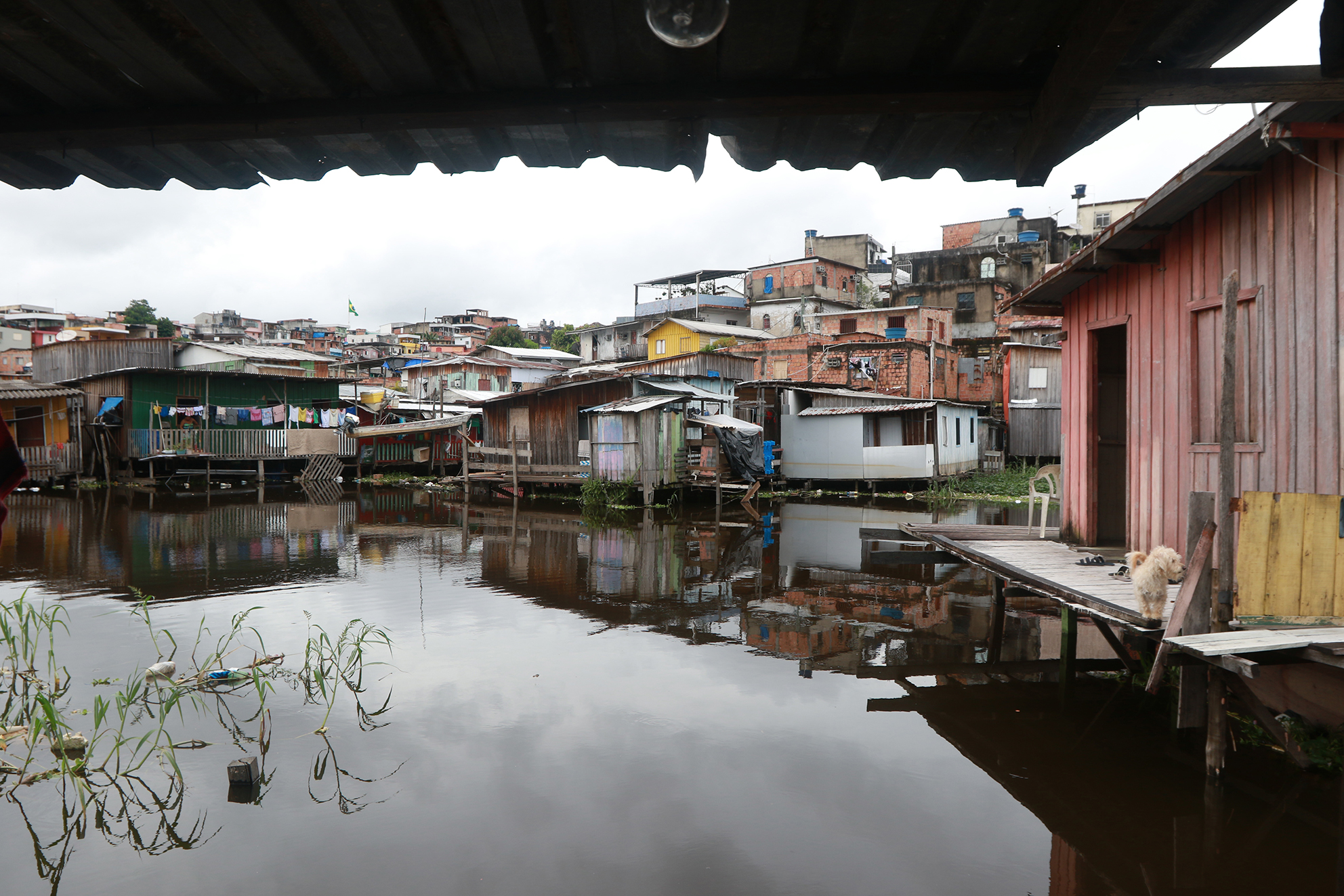 Cheia do rio Negro na cidade de Manaus