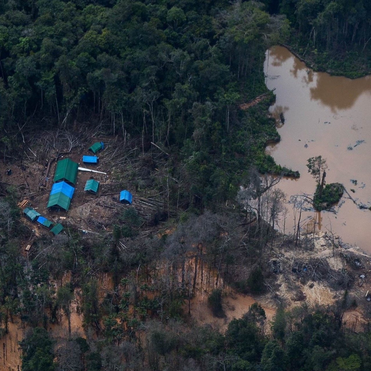 Comissão de Direitos Humanos do Senado aprova diligências para apurar crimes em Terras Yanomami