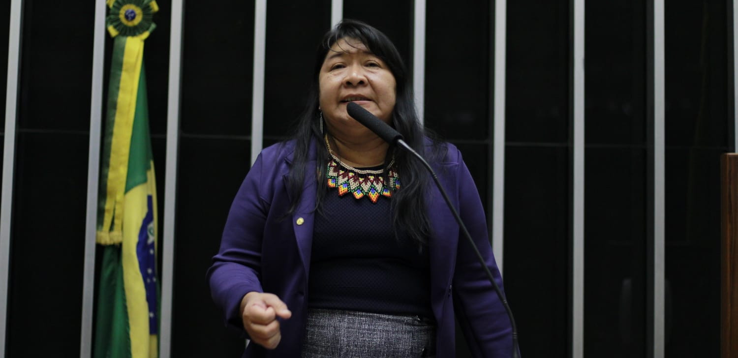 Joênia Wapichana propõe projeto para derrubar IN que abre TIs para exploração madeireira de grande escala