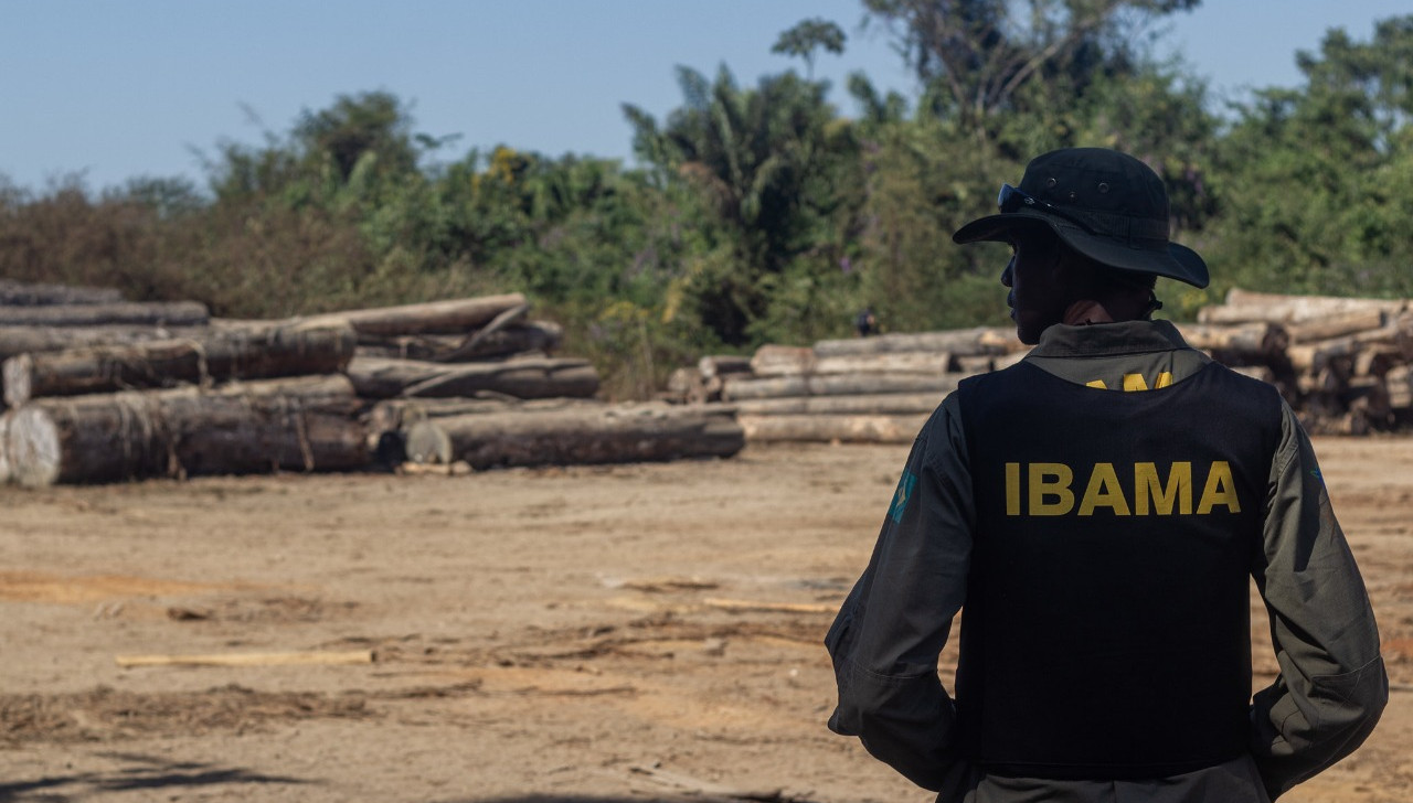 Associação afirma que governo não executa ações de proteção na Terra Yanomami